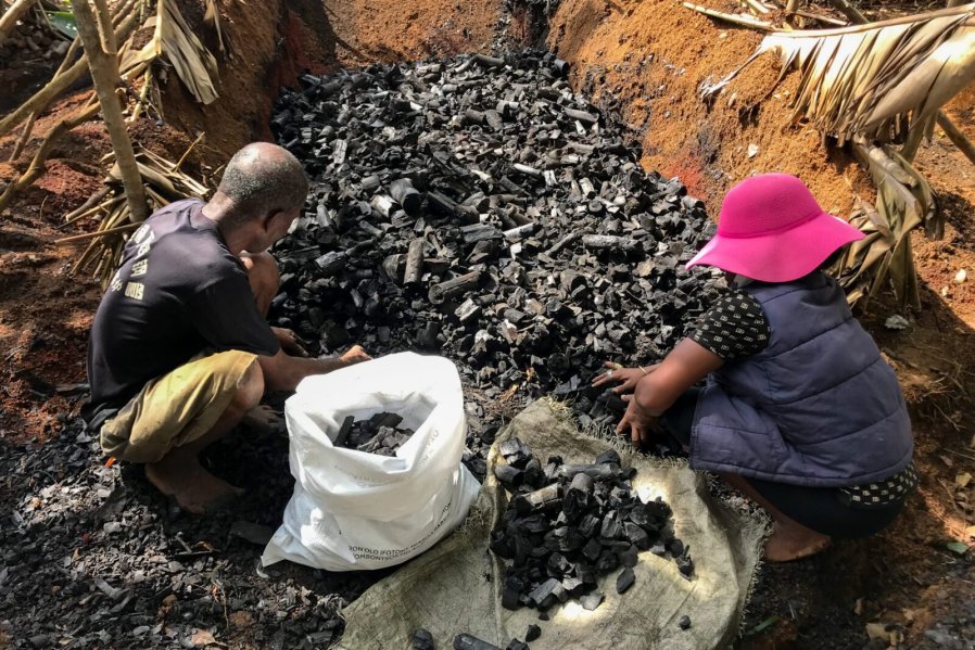 ‘Mangrove Charcoal’: Environmental Awareness in Panama