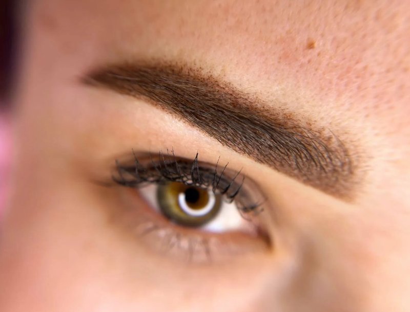 Inside the Studio Where a World Champion Does Your Eyebrows